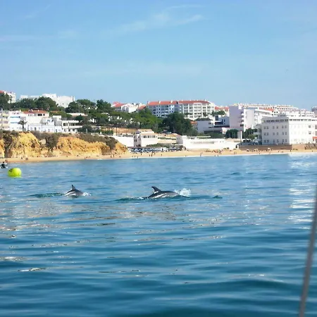 Eber - Independent 1 & 2 Bedroom Apartments, Pool, Air Con, Fast Wi-fi, Near Old Town Of And Beaches * Albufeira